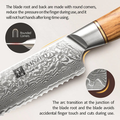 Premium Damascus Steel Kitchen Knife Set