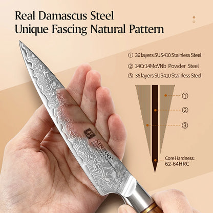 Premium Damascus Steel Kitchen Knife Set